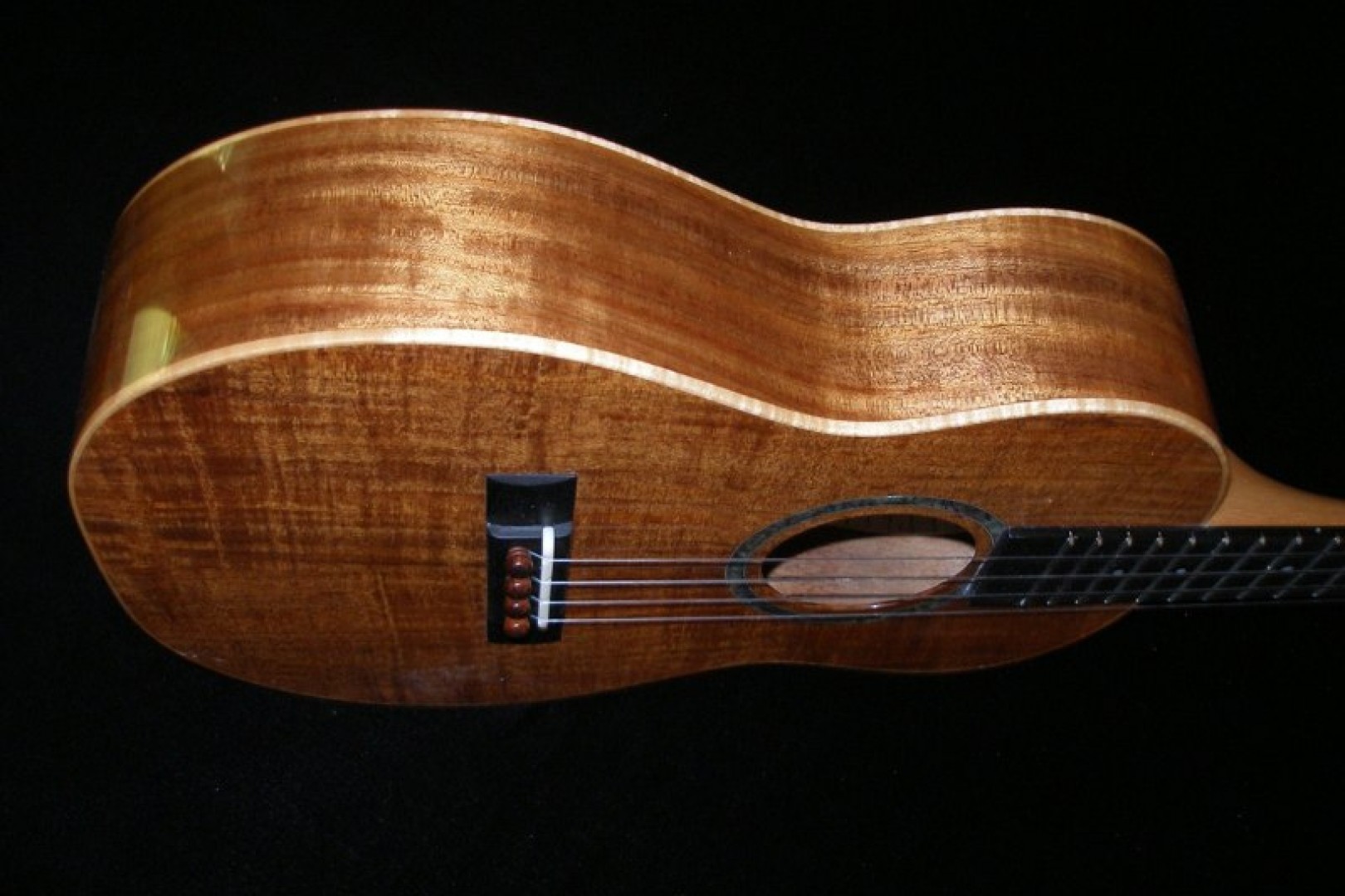 william king luthier